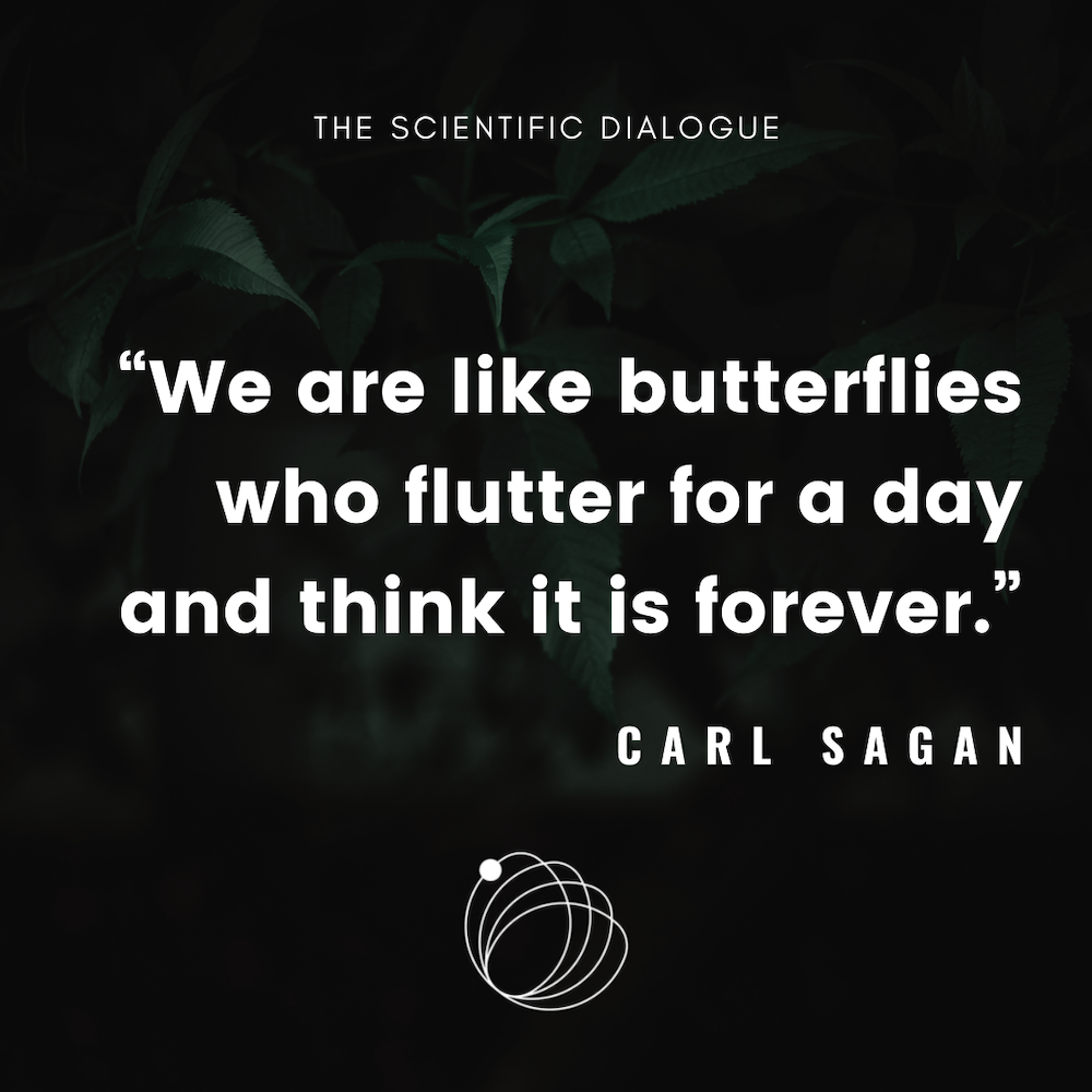 Quote: We are like butterflies who flutter for a day and think it is forever. - Carl Sagan